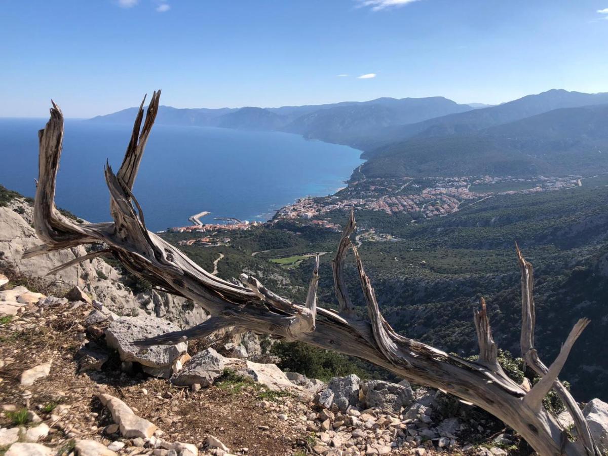 Appartamento Meduse Cala Gonone Zewnętrze zdjęcie